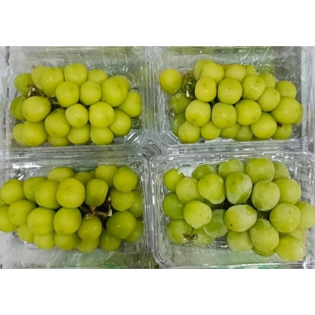 Anggur Muscat -+500gr