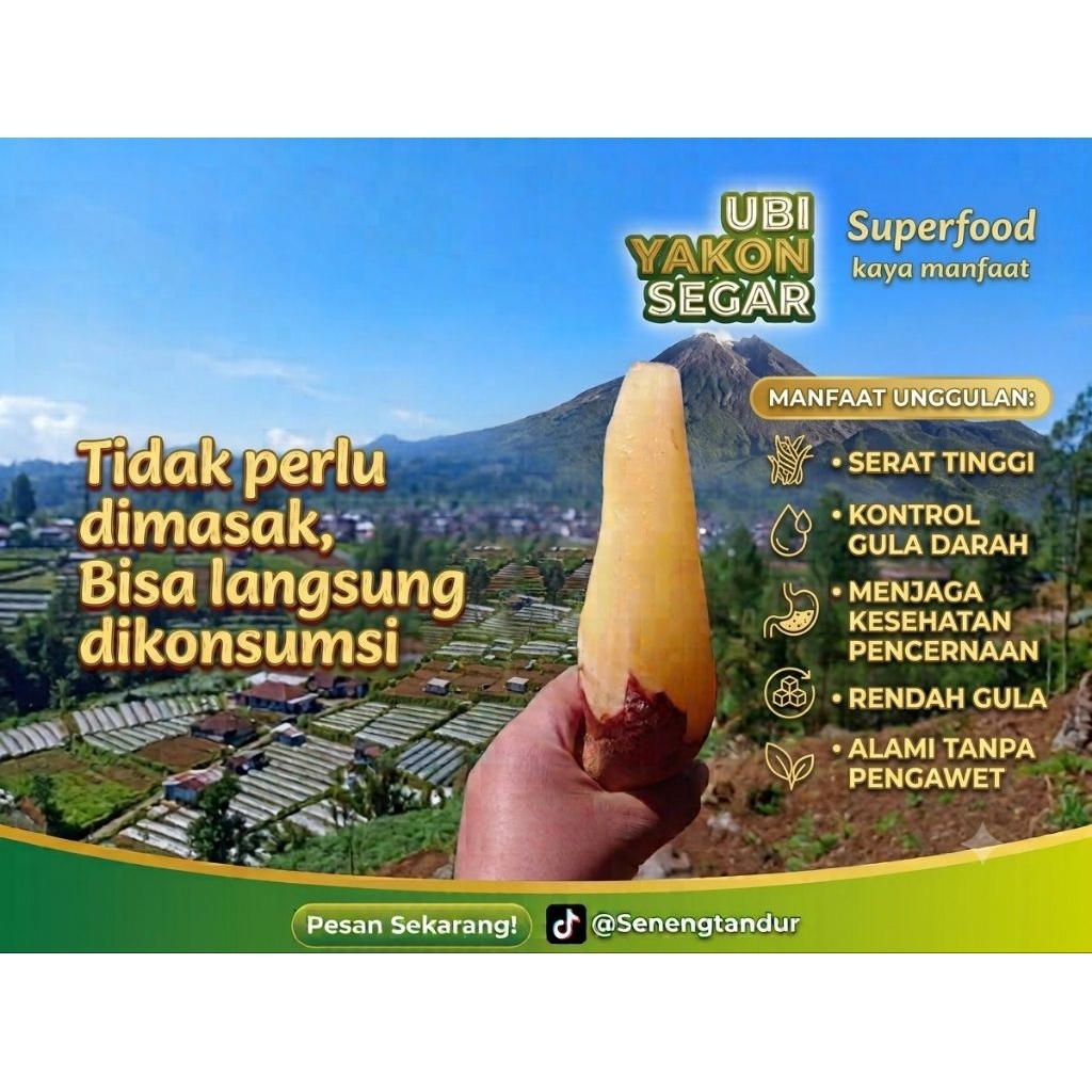 Ubi Yakon Super