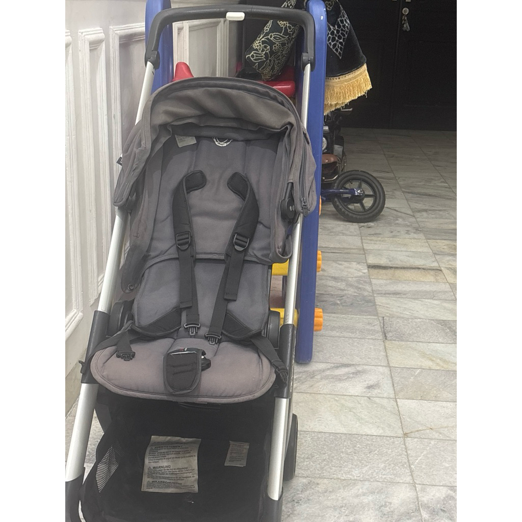 bugaboo ant