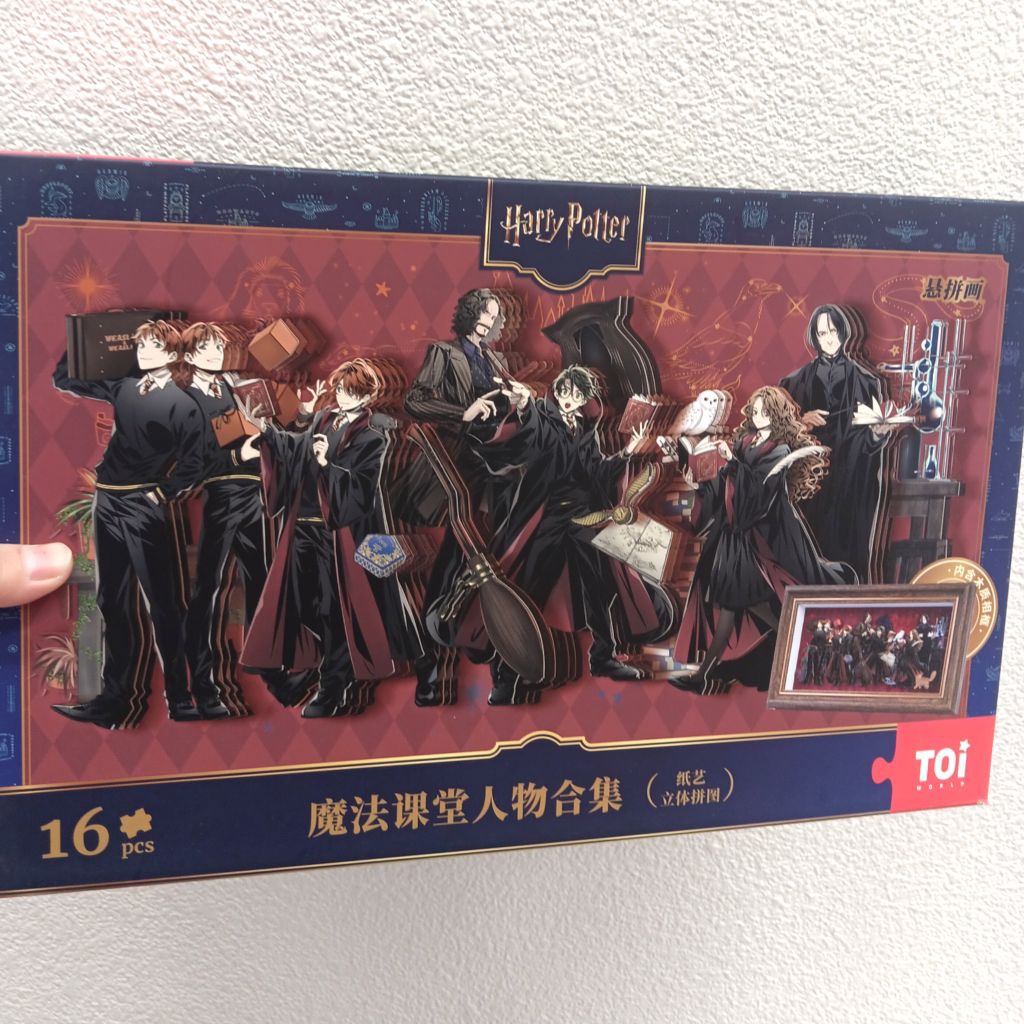 DIY PUZZLE 3D FRAME HARRY POTTER