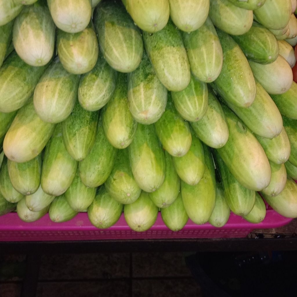 timun 1kg kirim istant
