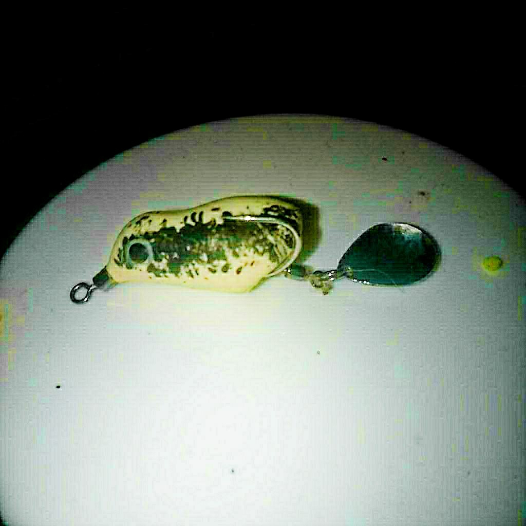 soft frog / umpan soft frog / umpan mancing / kail pancing