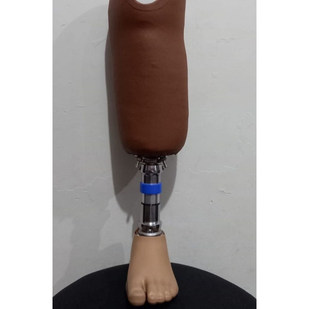 bawah lutut single axis (carbon)