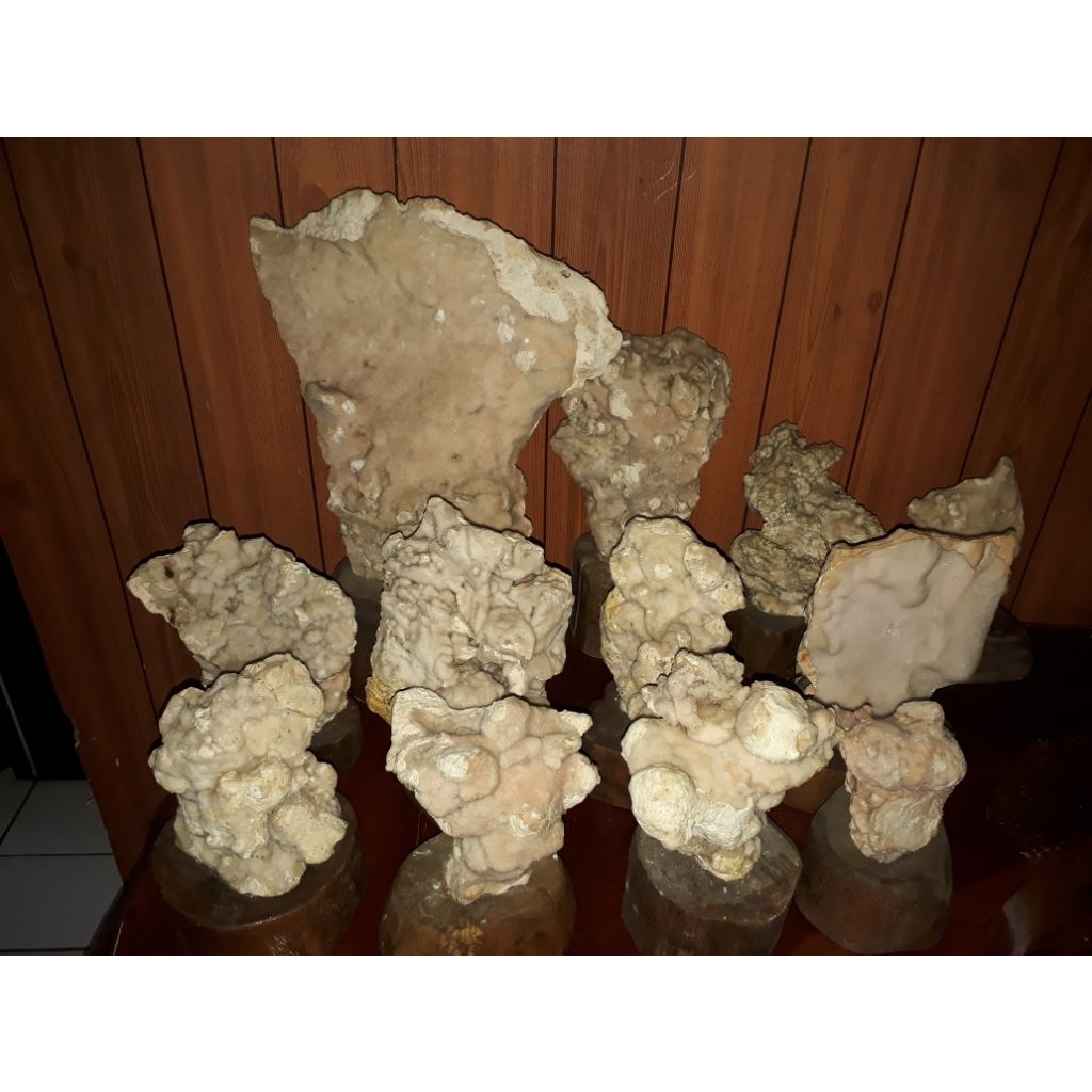 link co 40kg