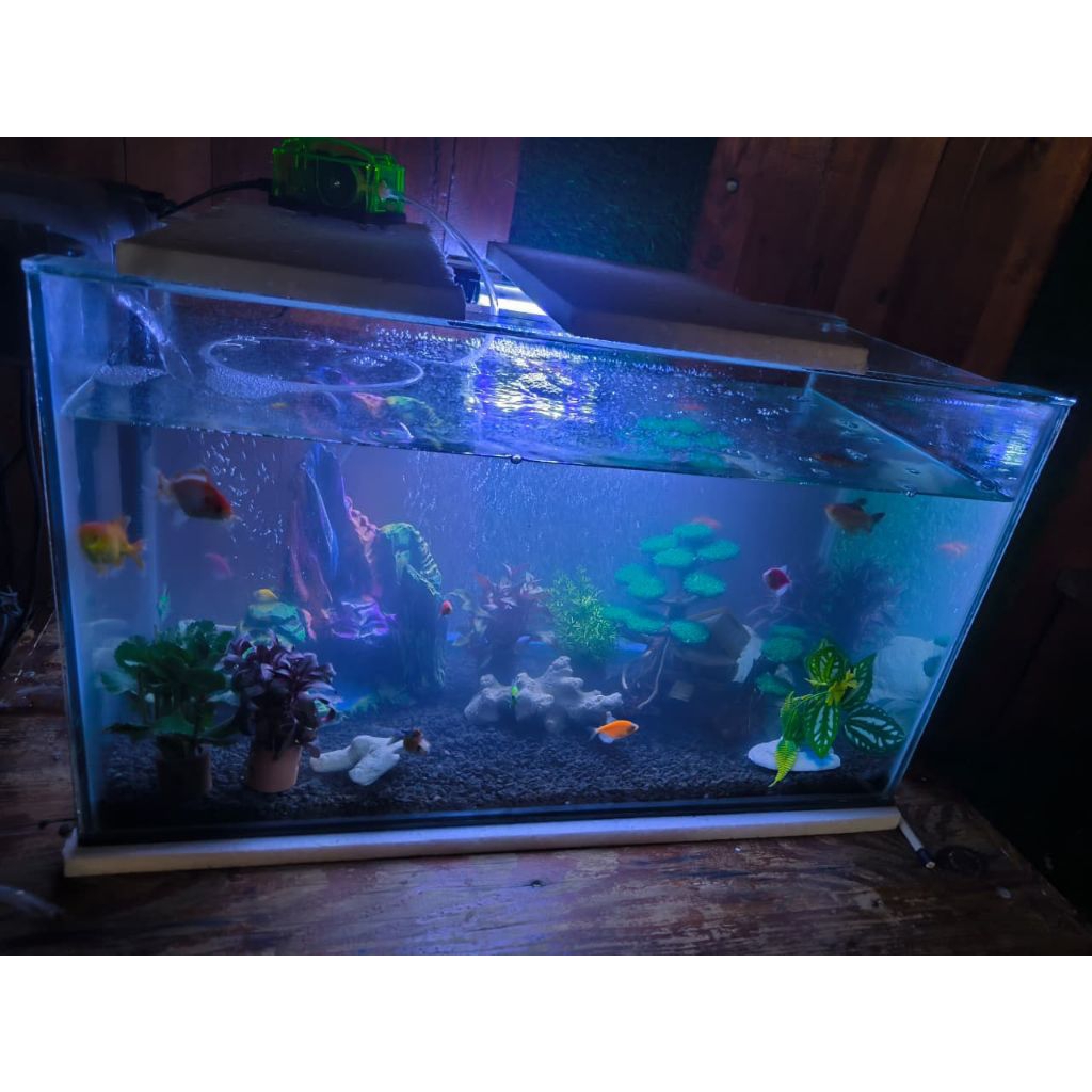 1 Paket Aquascap