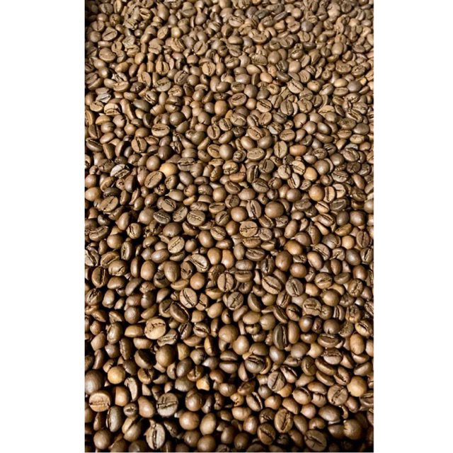 SPECIALITY ARABICA ROAST BEAN