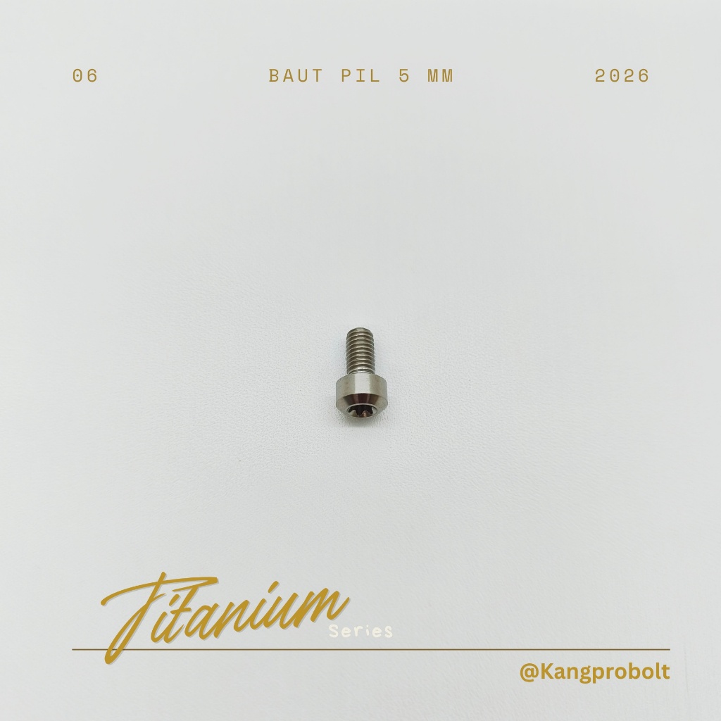 BAUT PIL 5 MM [SILVER/TITAN]