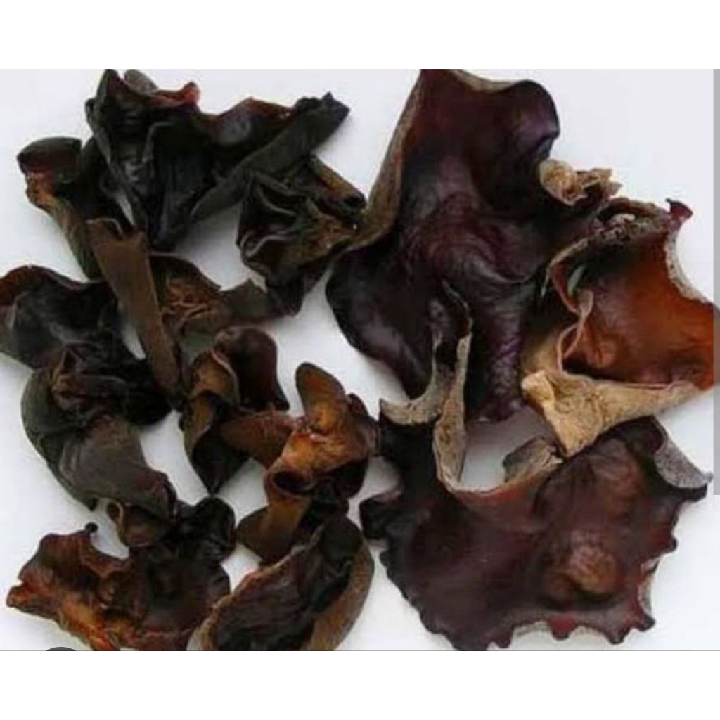 jamur kuping kering