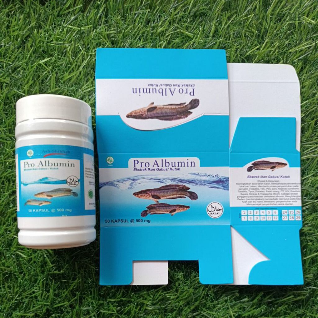 Kapsul Ikan Gabus