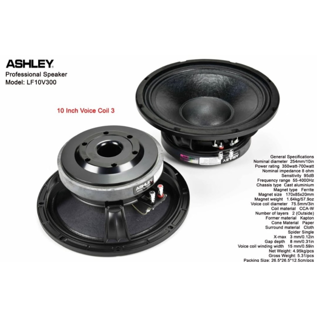 SPEAKER ASHLEY LF 10V300