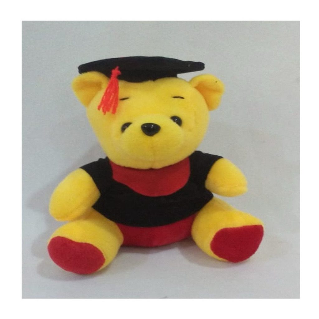 Boneka Wisuda 20cm