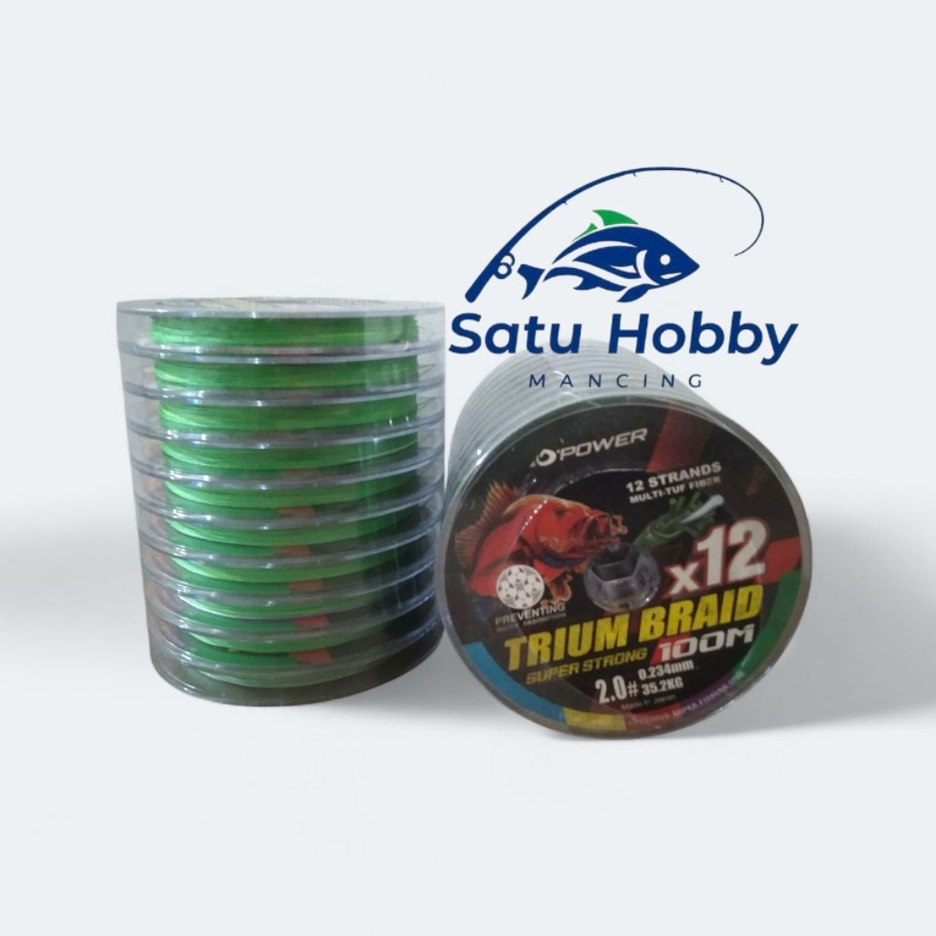 Senar PE D'POWER Trium Braid X12 100M