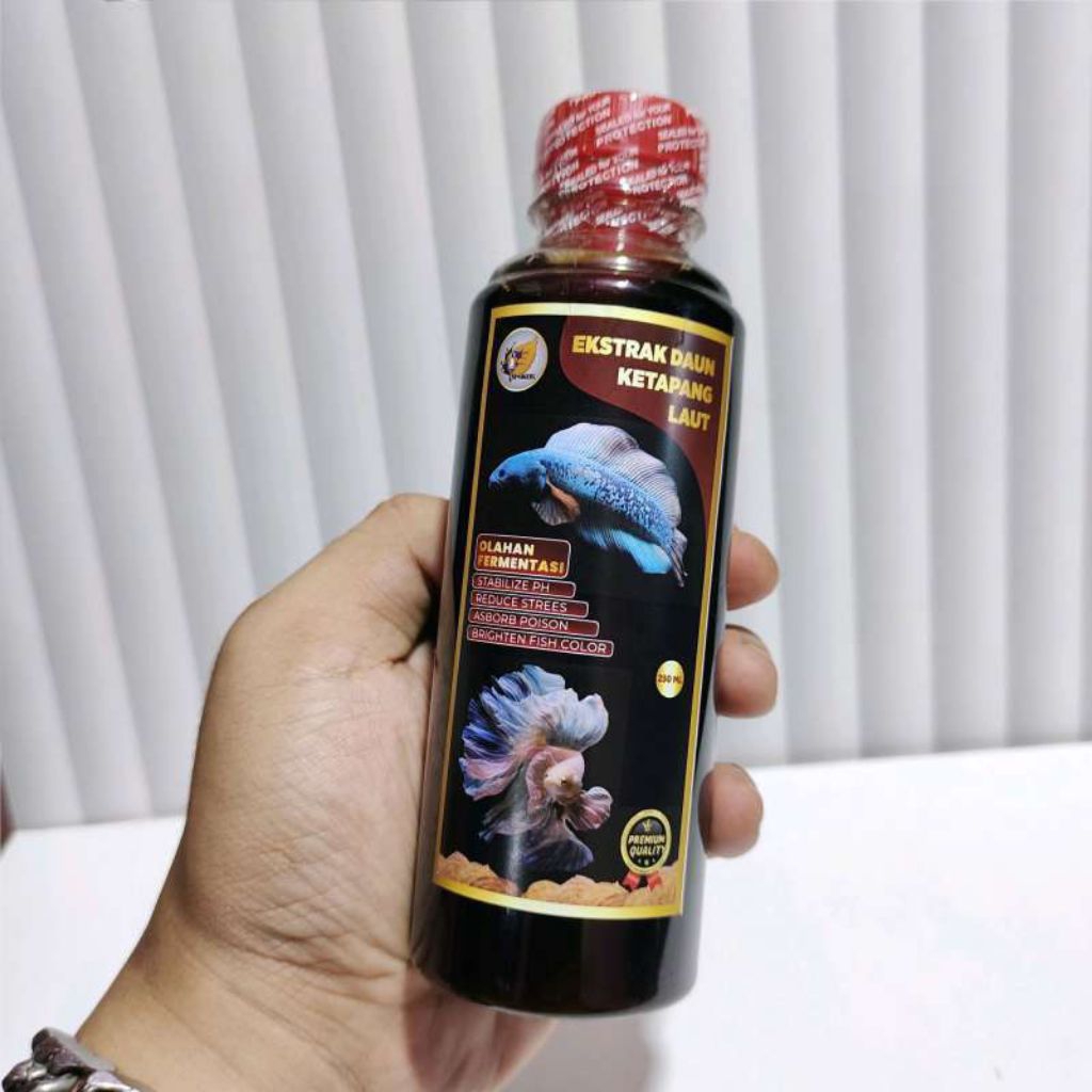 Ekstrak ketapang