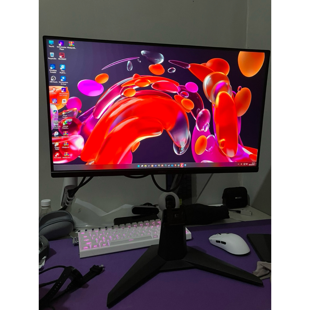 MSI MAG255XF