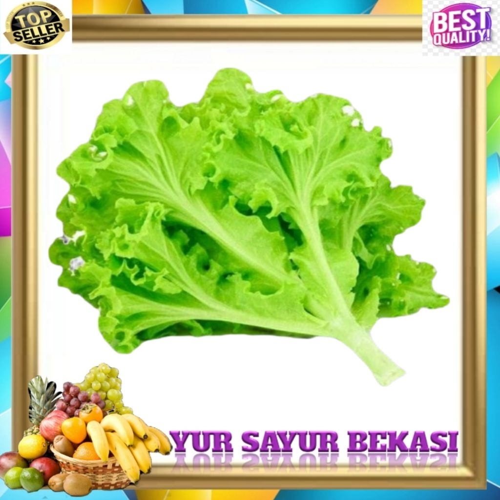 Daun Selada Lalap.