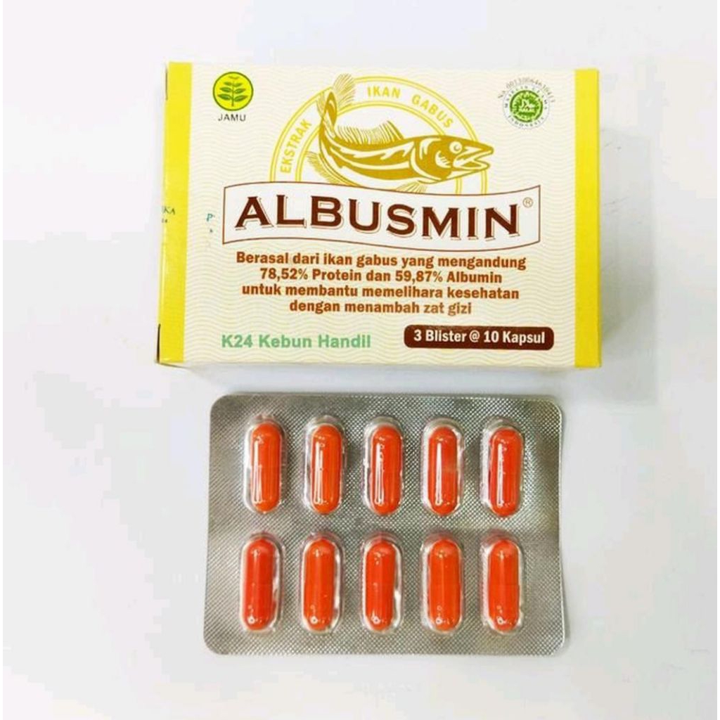 Albusmin ikangabus boxisi30