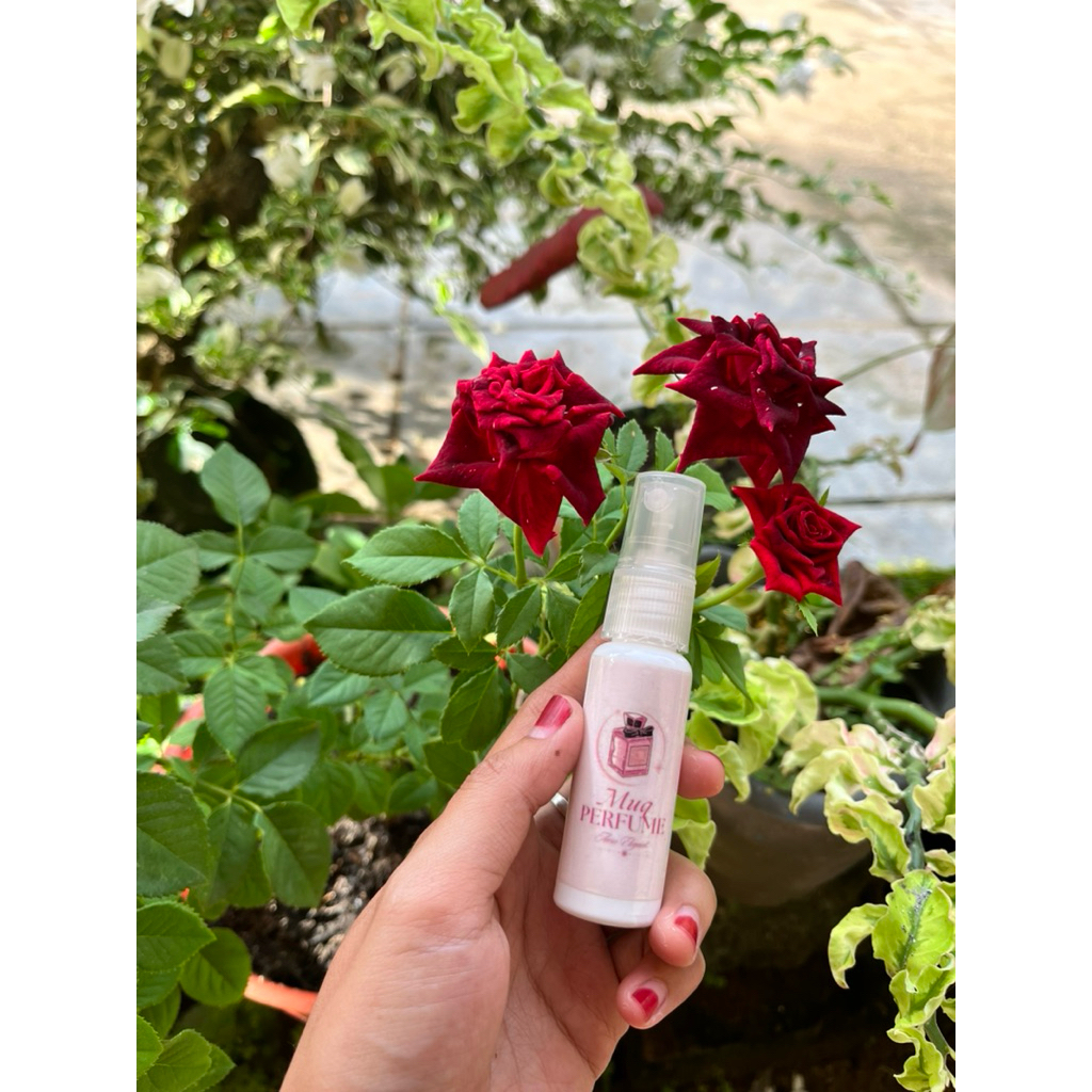 Muqparfum refill parfum murah