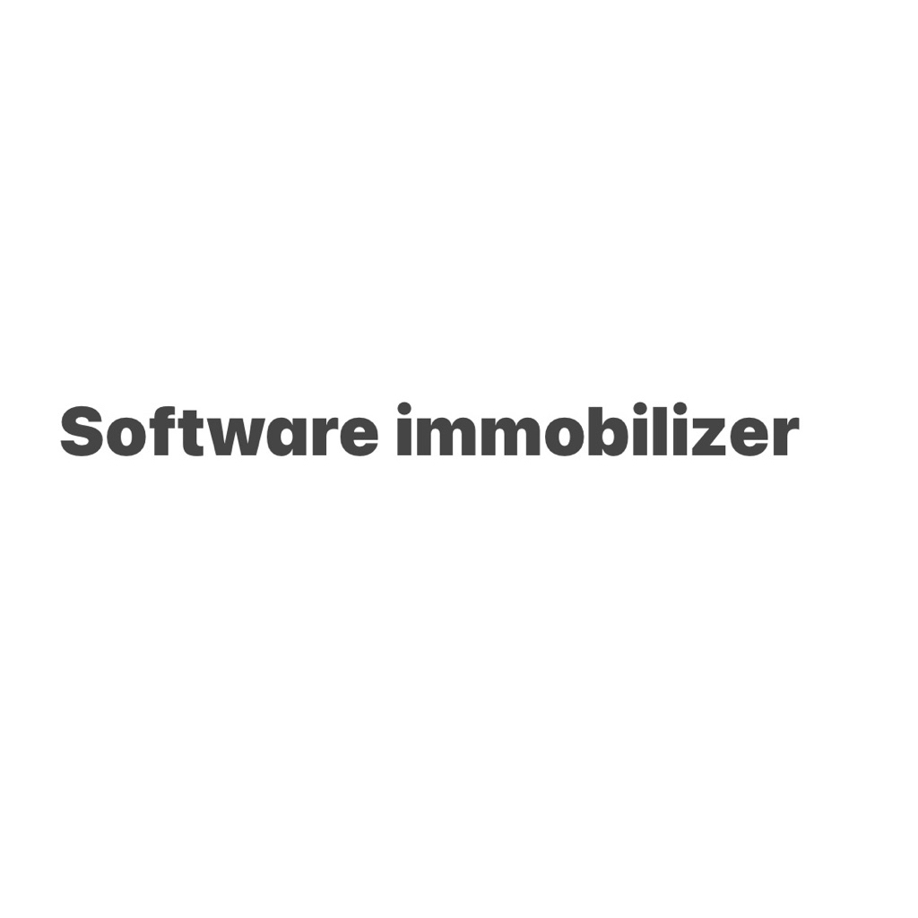 software immobilizer untuk diagzone