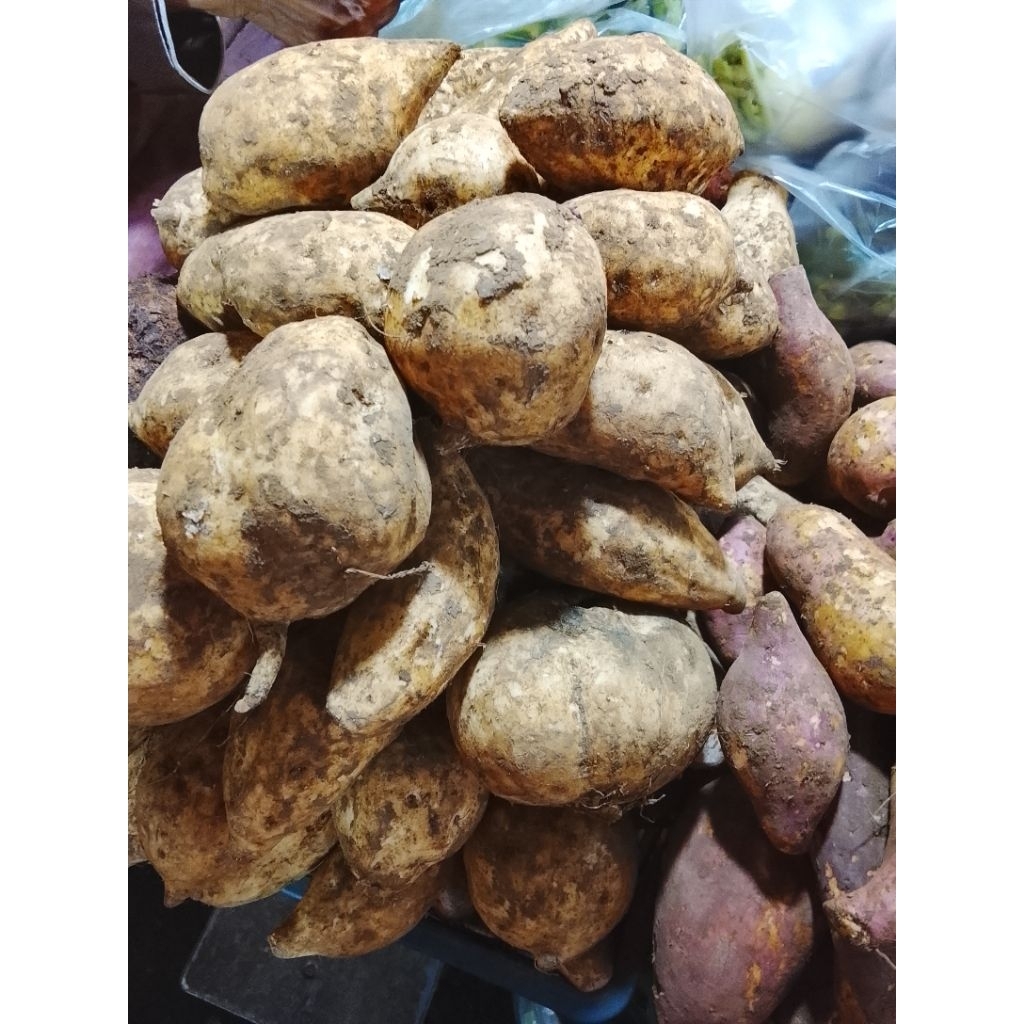 ubi putih/ubi kuning per 1 kg
