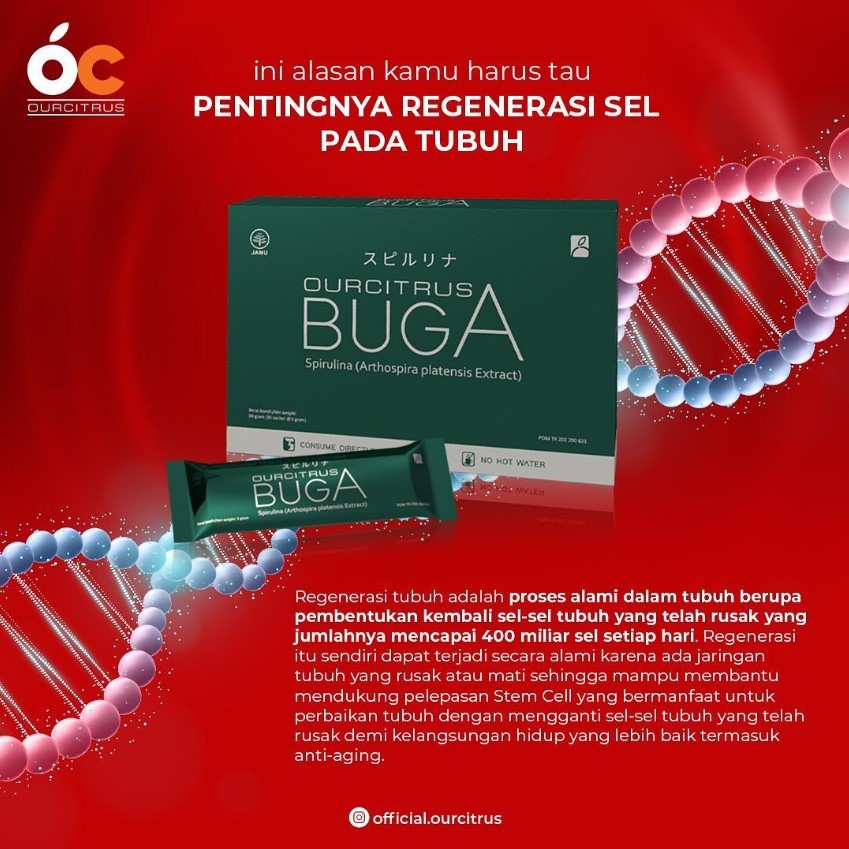 BUGA Ourcitrus Suplemen Herbal Alami Isi 10 Sachet