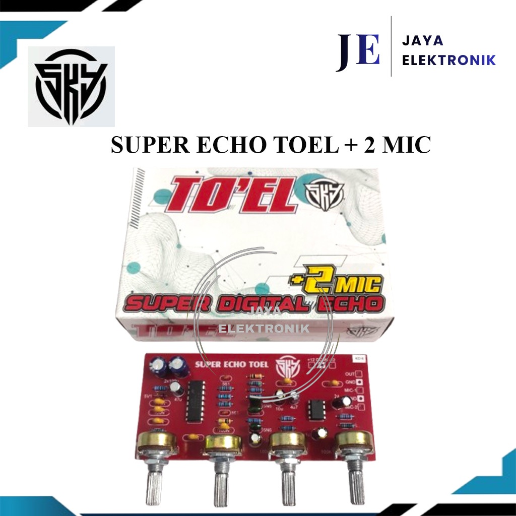 Kit Super Digital Echo 2 Mic TO'EL SKY