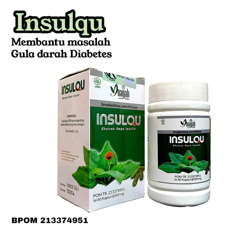 Kapsul Daun Insulin Insulqu Inayah BPOM 50 Kapsul