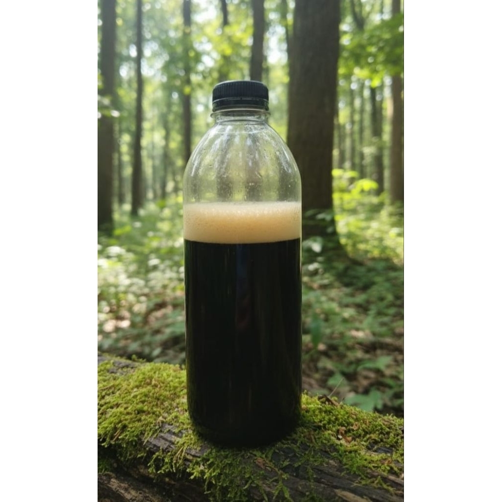Madu Hitam