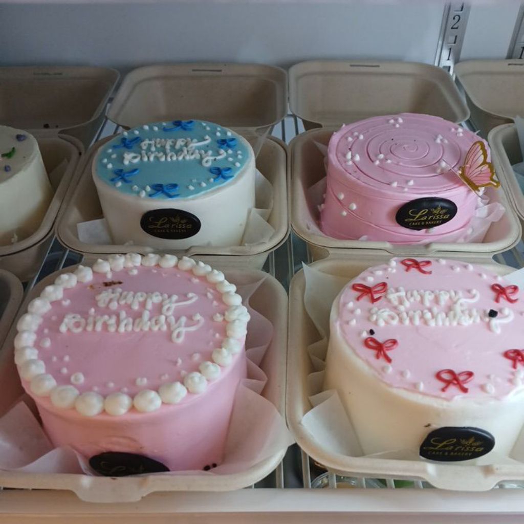 LARISSA Cake Bento