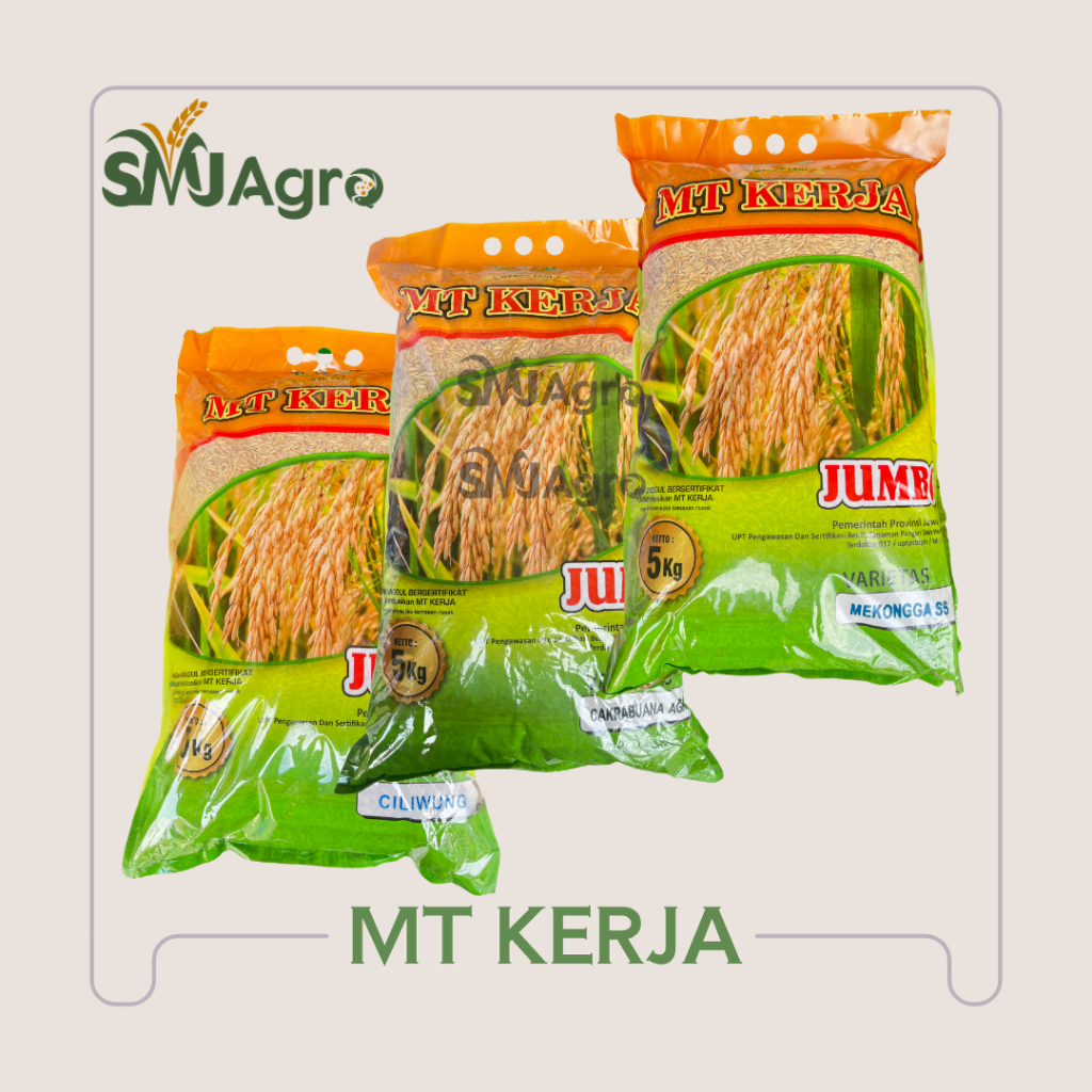 BENIH PADI MT KERJA