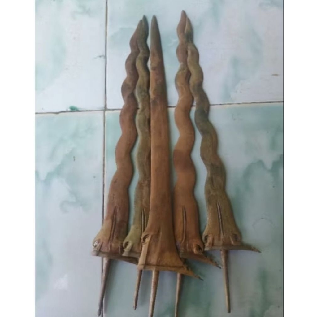 karnotinading dan keboteki