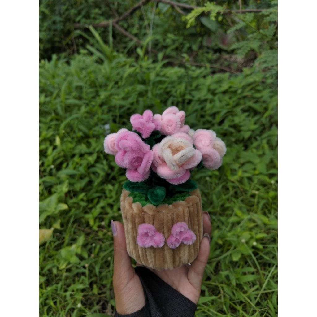 Bunga Mawar Mini