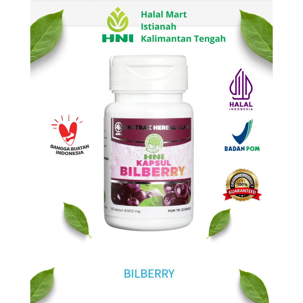 Bilberry Suplemen Kesehatan Mata