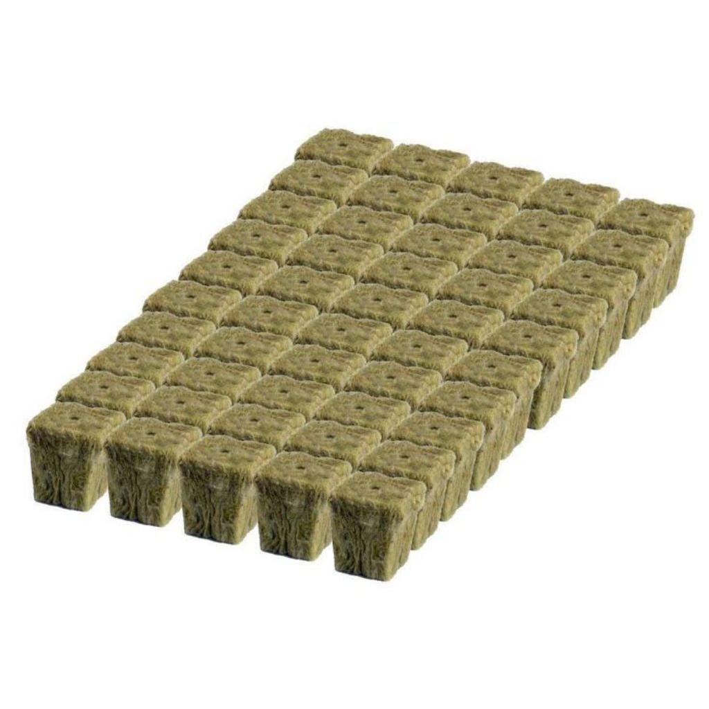 rockwool hidroponik