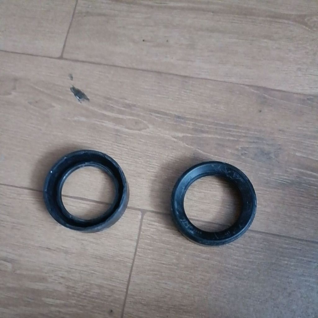 seal busi  Ford focus new
