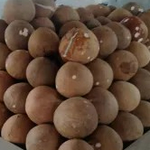 kelapa parut super