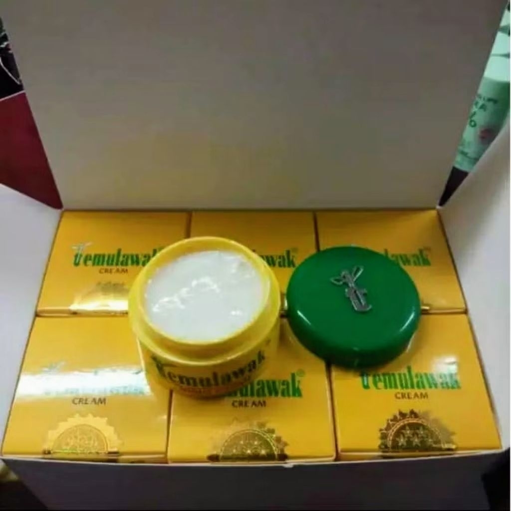CREAM TEMULAWAK MALAM PERPCS