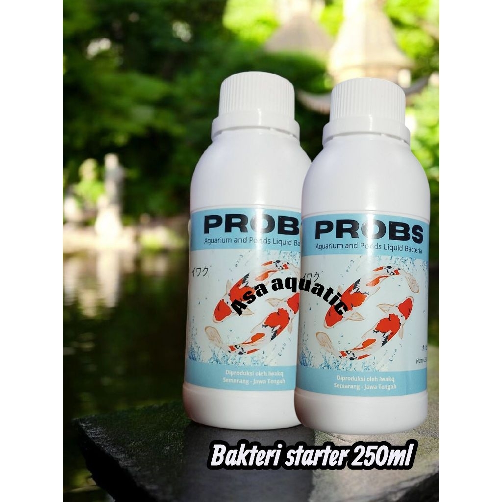 Bakteri starter PROBS Bacteria starter cair 250ml