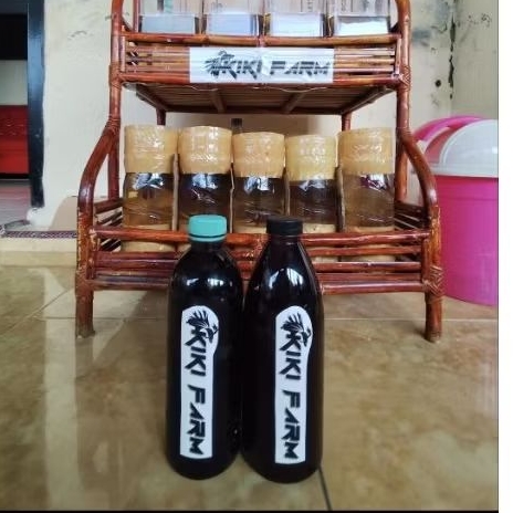 Ekstrak Daun Ketapang