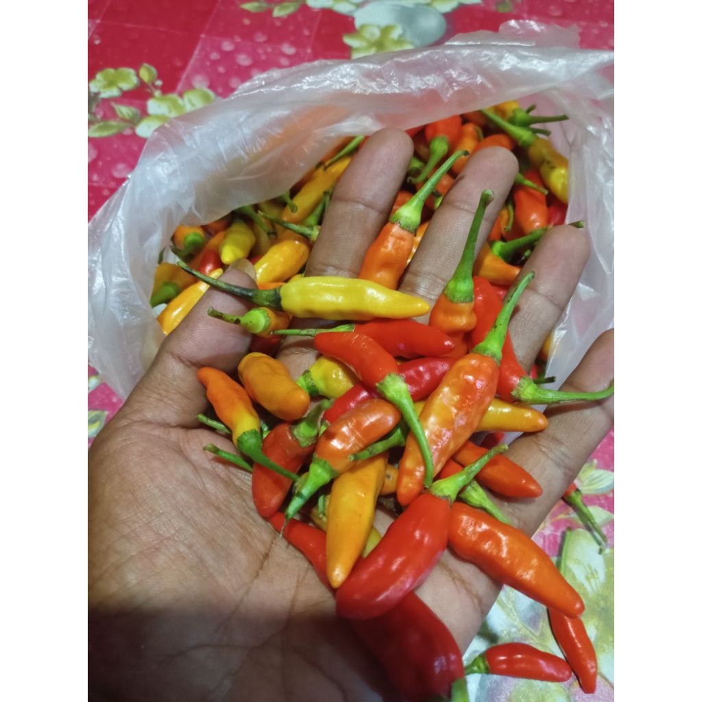 250gr cabe rawit merah
