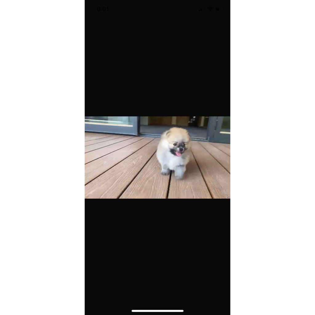 BONEKA MINI LUCU KECIL
