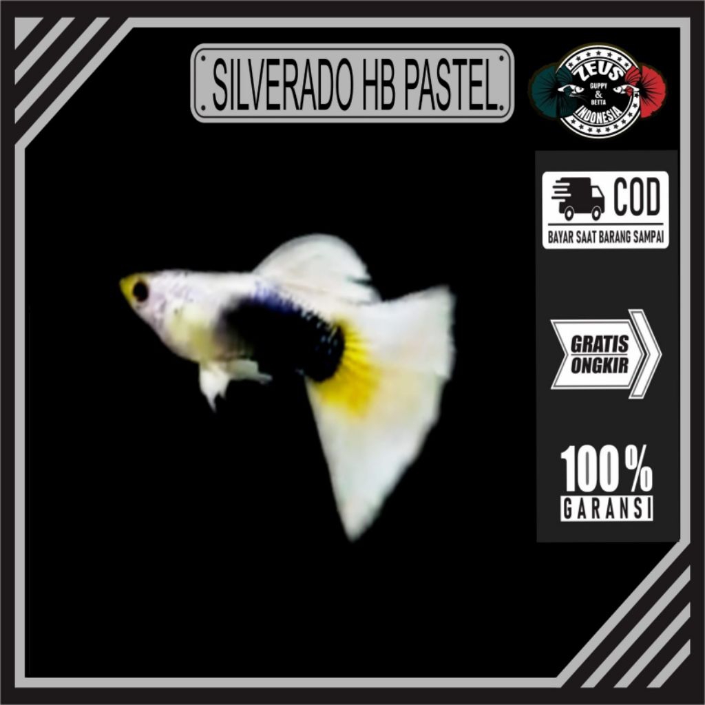 Silverado Hb pastel