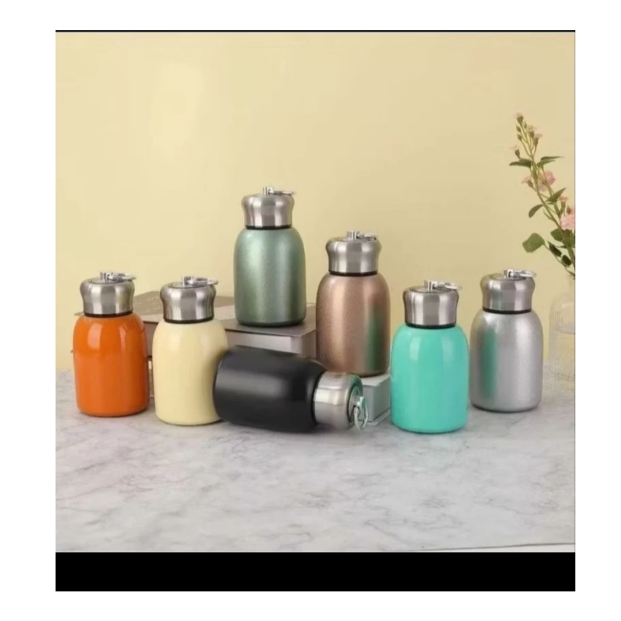 Thermos Mini 300ml Portable