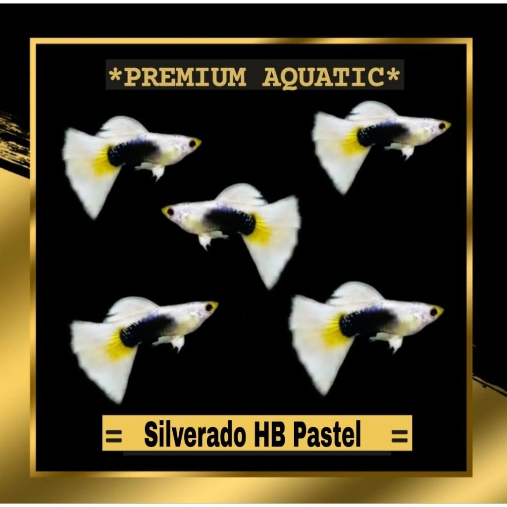 Silverado HB Pastel