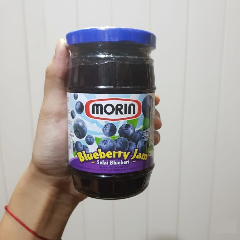 MORIN BLUEBERRY JAM 330GR