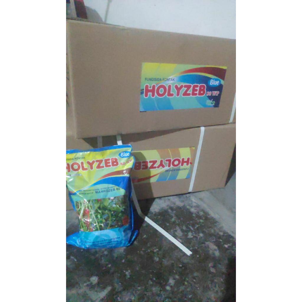 holyzeb80wpbiru1kg