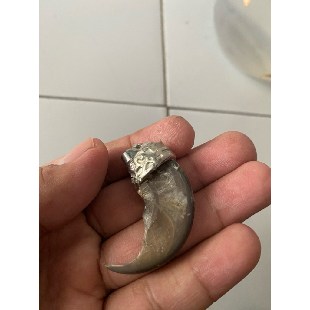 kuku ber uang