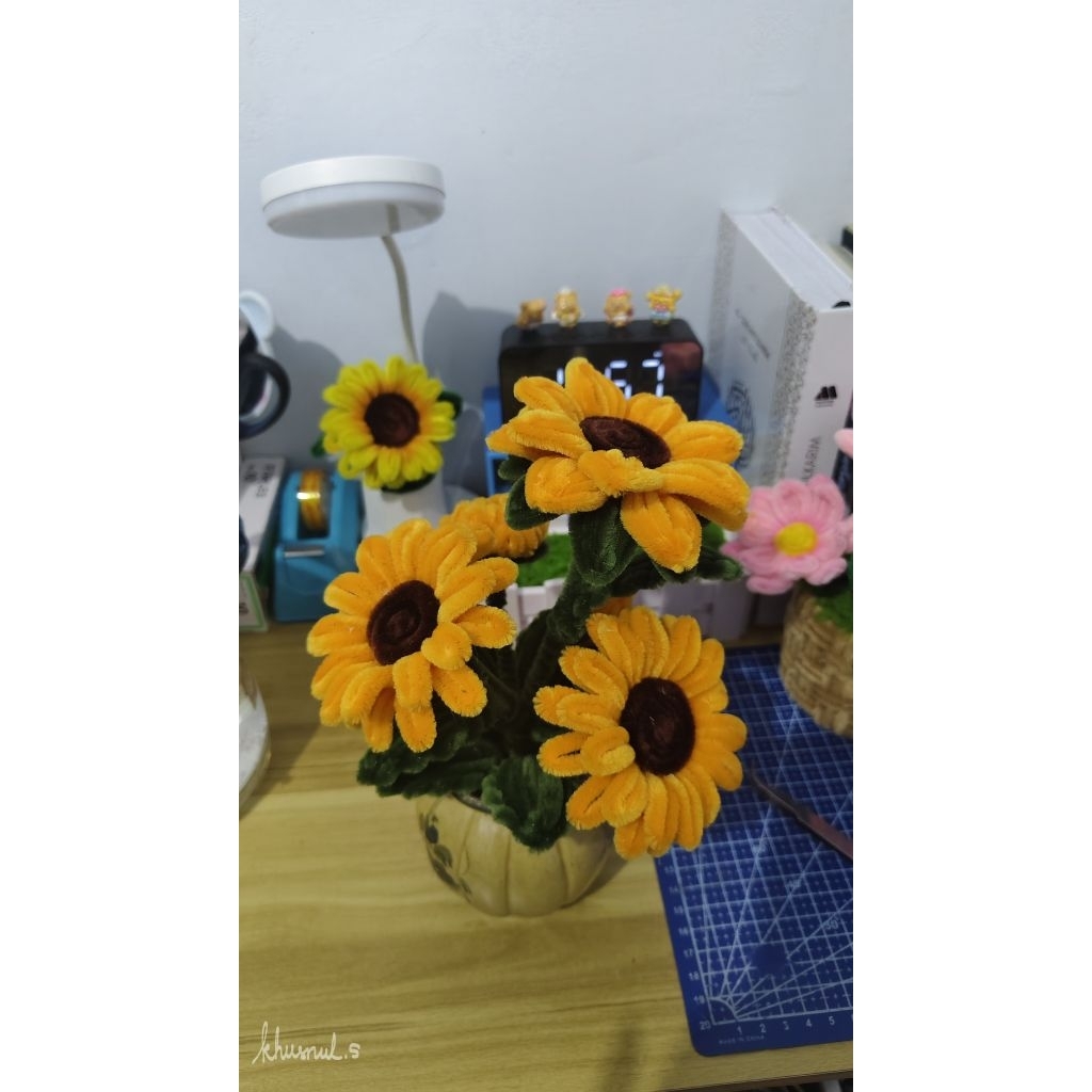 sunflower