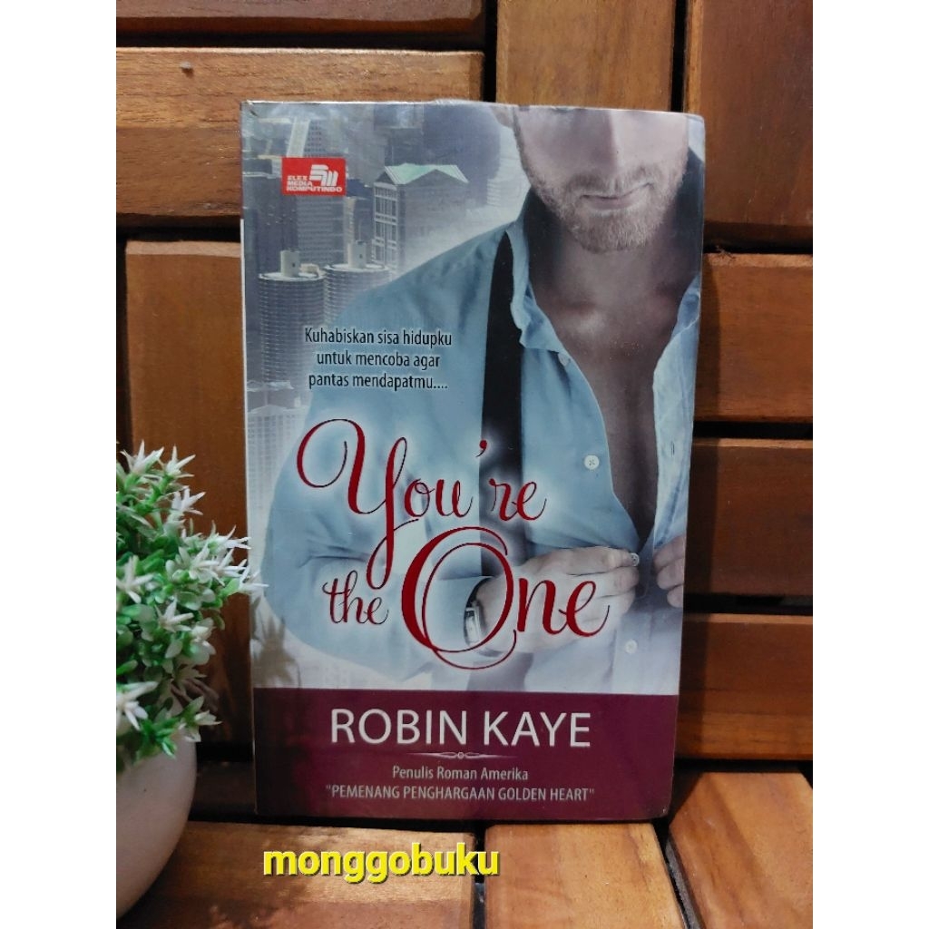 NOVEL ROBIN KAYE