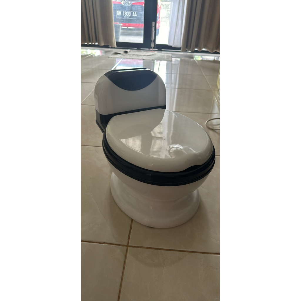 toilet training