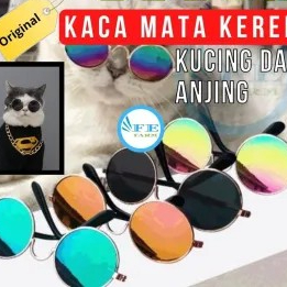 kacamata kucing keren